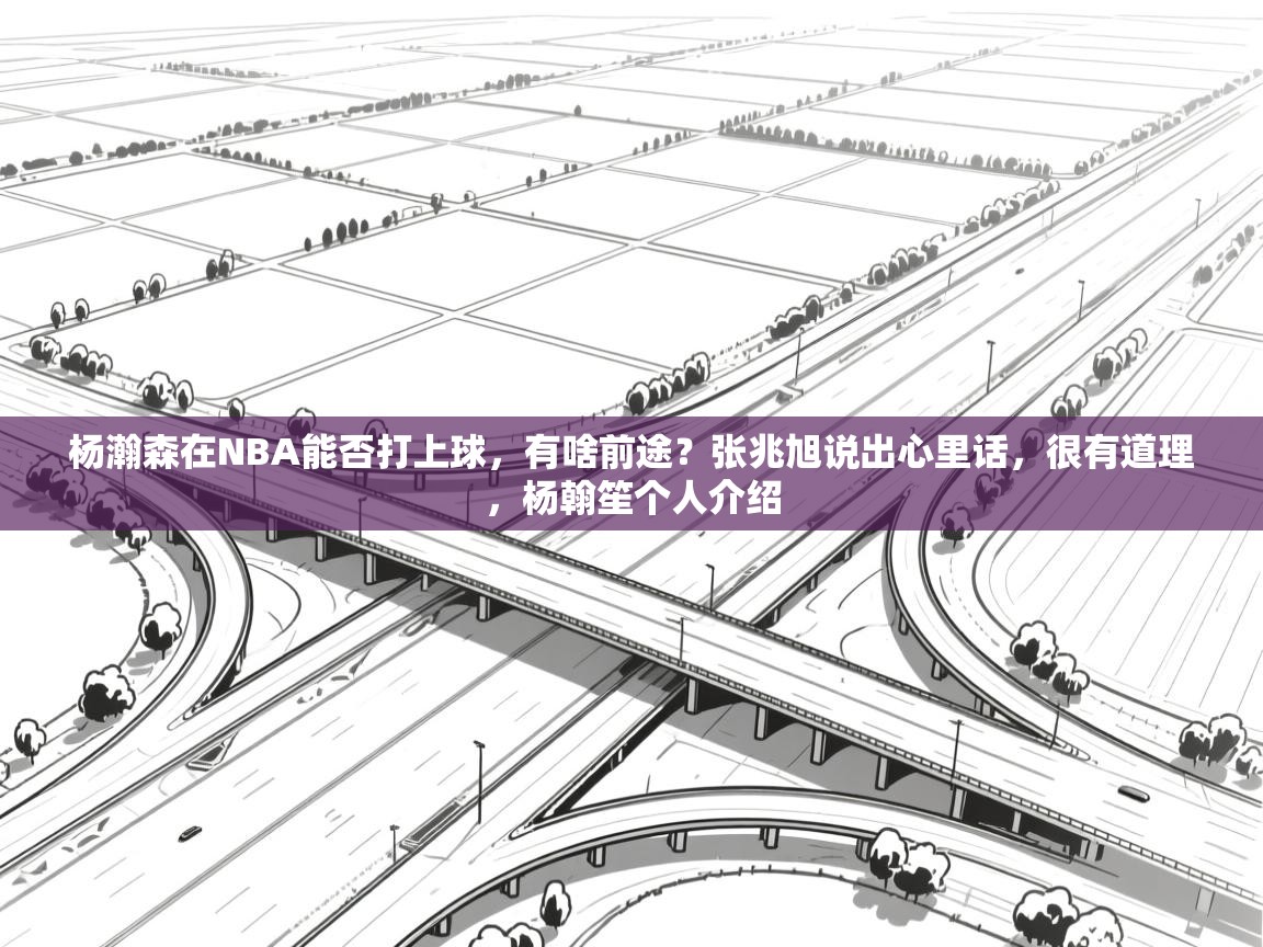 开云体育联赛专题页-杨瀚森在NBA能否打上球，有啥前途？张兆旭说出心里话，很有道理，杨翰笙个人介绍
