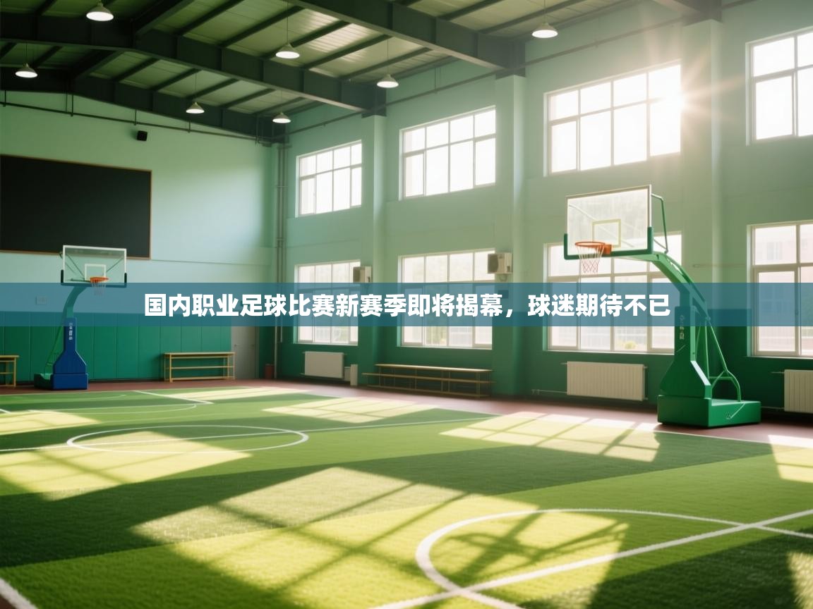 开云体育app下载安装免费-国内职业足球比赛新赛季即将揭幕，球迷期待不已